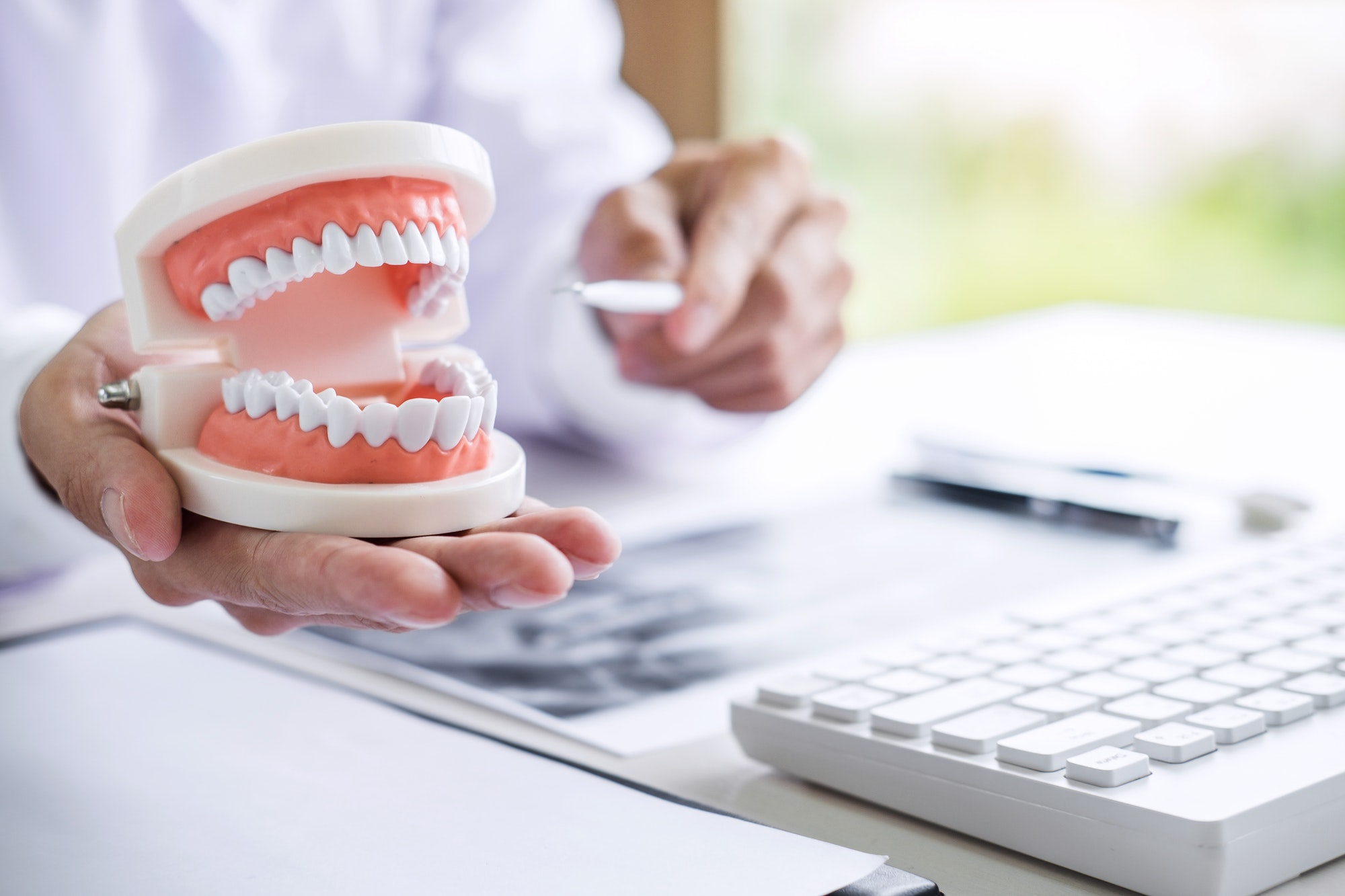 Dentist holding a model of the jaws beside an X-ray at a desk